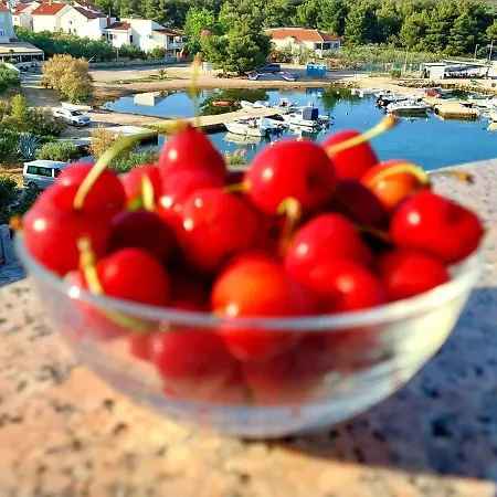 In Zaboric With Sea View, Balcony, Air Conditioning, Wifi 5177-3 Sibenik