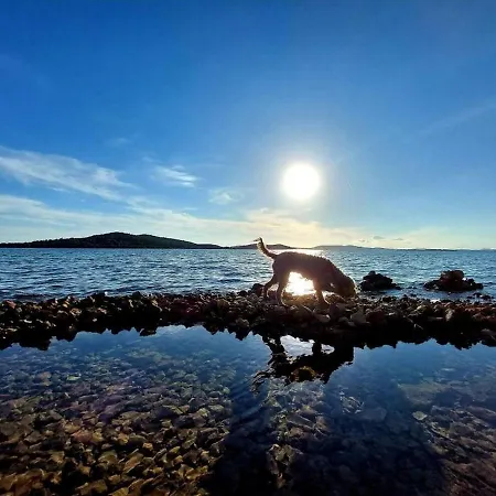 In Zaboric With Sea View, Balcony, Air Conditioning, Wifi 5177-3 Daire *