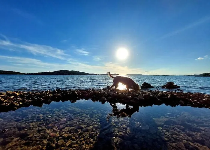 In Zaboric With Sea View, Balcony, Air Conditioning, Wifi 5177-3 Daire *